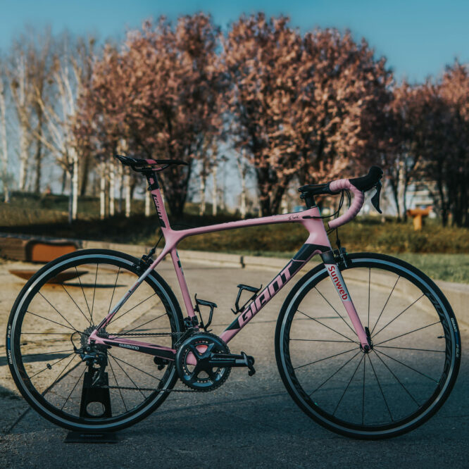 tcr advanced sl maglia rosa